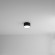 Потолочный светильник Arte Lamp FADO A7312PL-1BK