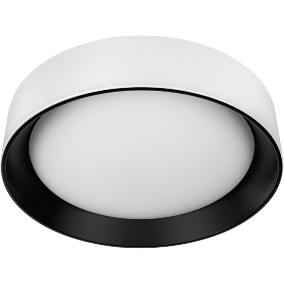 10202 WB  Потолочный светильник  LOFT IT Coin