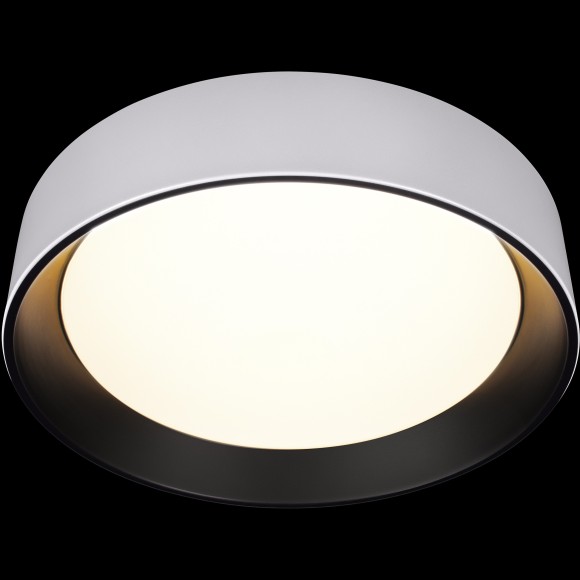 10202 WB  Потолочный светильник  LOFT IT Coin