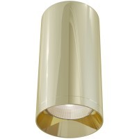 Потолочный светильник Technical C010CL-01G
