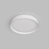 Потолочный светильник PLATO DK6510-WH Потолочный светильник PLATO DK6510-WH