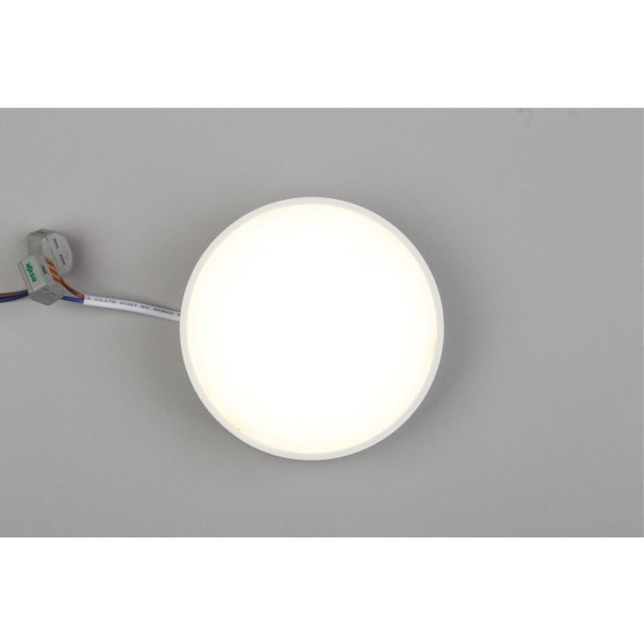 Светильник настенно-потолочный APL.0113.09.12