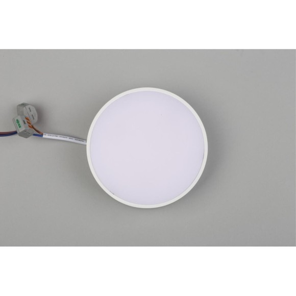 Светильник настенно-потолочный APL.0113.09.12