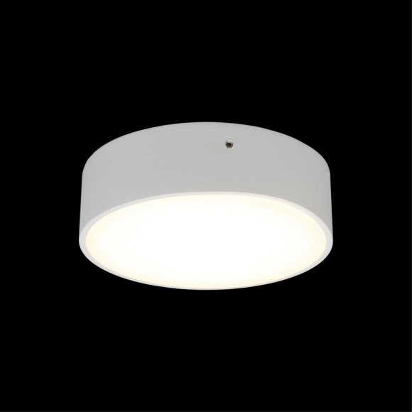 Светильник настенно-потолочный APL.0113.09.12