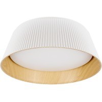 10224 White Потолочный светильник LOFT IT Evans