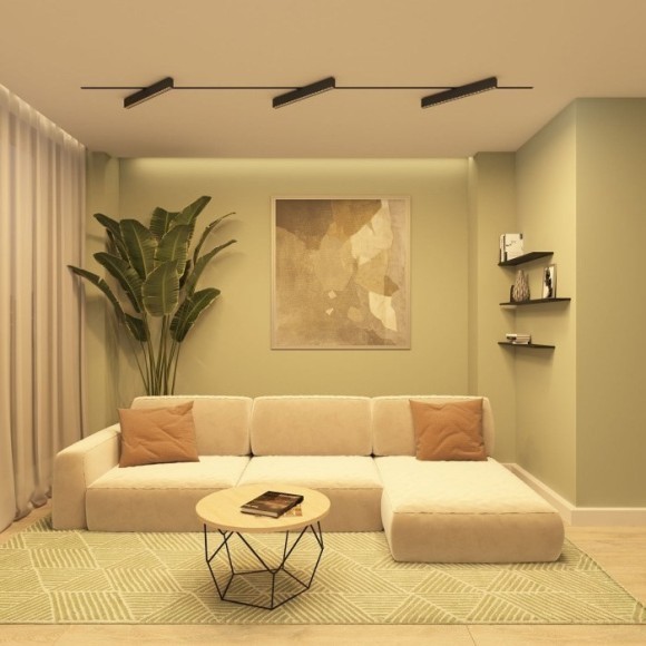 Однофазный двужильный светодиодный трековый светильник Denkirs DK6634-BK Edder 3000К 3120Лм CRI90+ 24° 40Вт