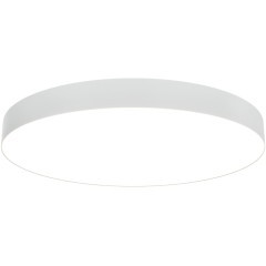 Потолочный светильник Technical C032CL-90W3K-RD-W