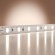 Светодиодная лента Base 24В 2835 9,6Вт/м 6000K 5м IP 20 Led Strip 201179