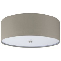 94919 Светильник потолочный PASTERI