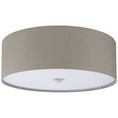 94919 Светильник потолочный PASTERI