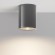 Уличный потолочный светильник Maytoni O306CL-L7GF Bar IP65 светодиодный LED 7W