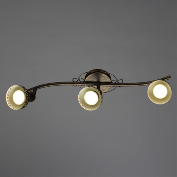 Спот Arte Lamp FOCUS A5219PL-3BR