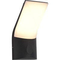 SL9543.701.01 Светильник настенный ST-Luce темно-серый/белый LED 1*10W 3000K BRIGHT