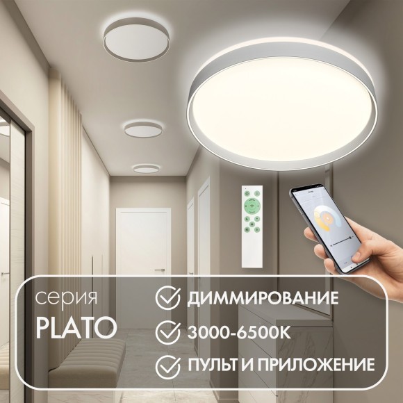 Потолочный светильник PLATO DK6511-WH Потолочный светильник PLATO DK6511-WH