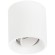Уличный потолочный светильник Lightstar 51006 Globo IP54 светодиодный LED 8W