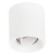 Уличный потолочный светильник Lightstar 51006 Globo IP54 светодиодный LED 8W