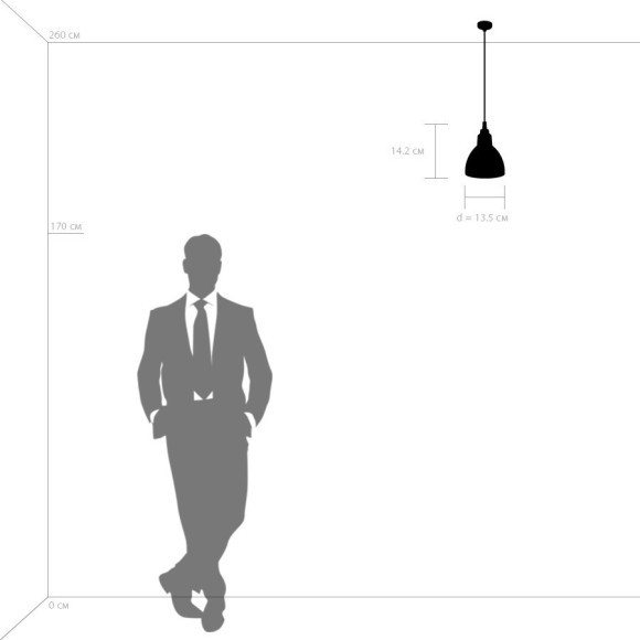 Подвесной светильник с 1 плафоном Lightstar 865017 Loft под лампу 1xE14 40W Подвесной светильник с 1 плафоном Lightstar 865017 Loft под лампу 1xE14 40W