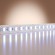 Светодиодная лента Base 12В 2835 9,6Вт/м Blue 5м IP 20 Led Strip 201173