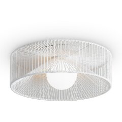 Потолочный светильник Freya FR5405CL-01W