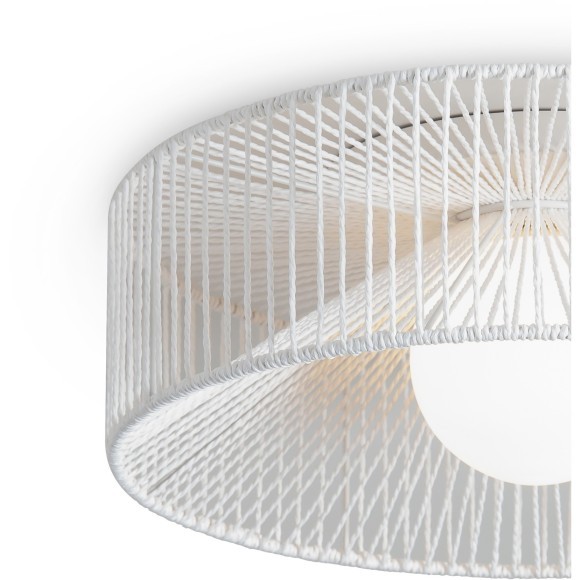 Потолочный светильник Freya FR5405CL-01W