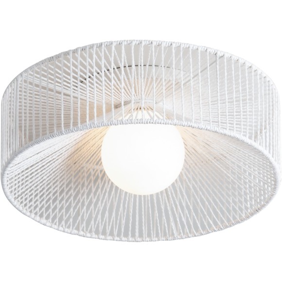 Потолочный светильник Freya FR5405CL-01W