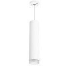 Подвесной светильник с креплением Rullo RP49630