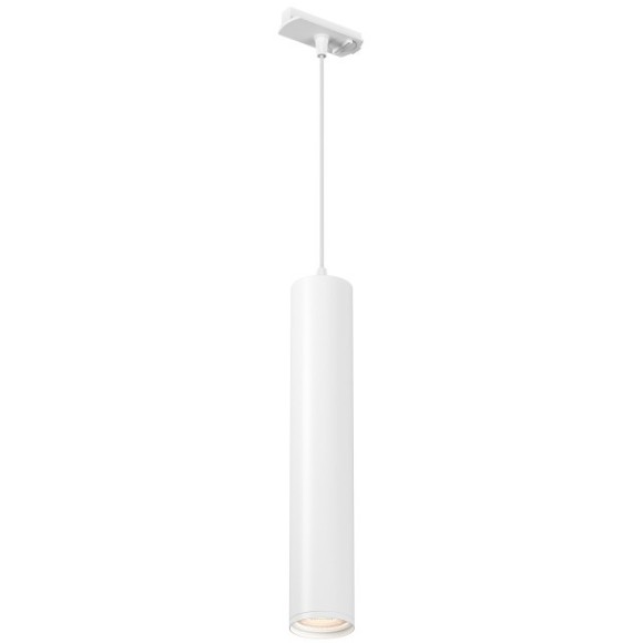 Трековый однофазный двужильный светильник DK6210-WH GU10