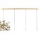 Люстра подвесная Extra Lightstar L4PL721132