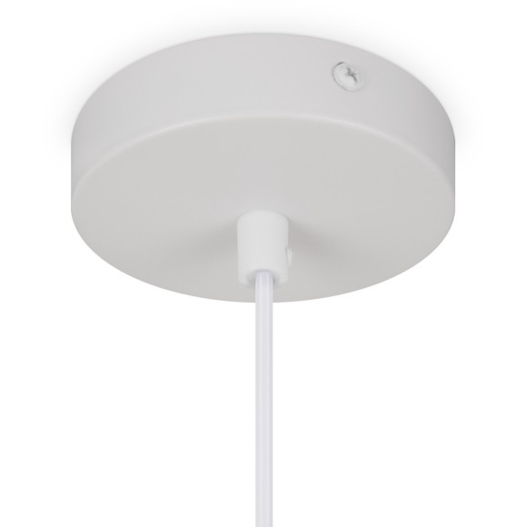 Подвесной светильник Freya FR5392PL-01W