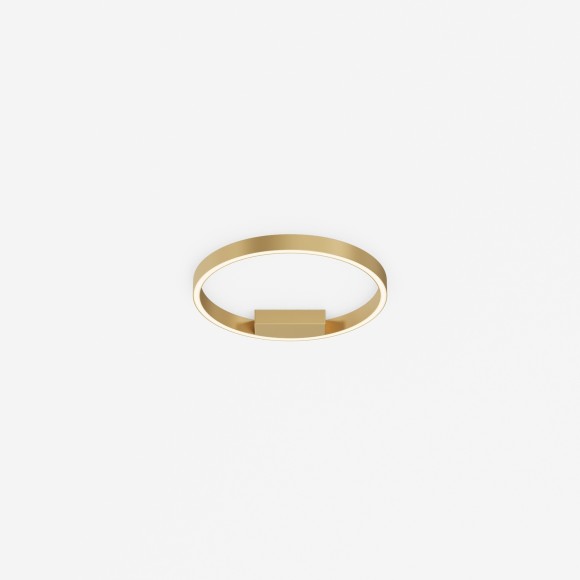 Потолочный светильник Maytoni MOD058CL-L25BSK