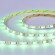 ST019.318.20RGBW Светодиодная лента SMD5050  - 17.28W/M 3000K+RGB 300Lm Ra>90 IP20 L5000xW10xH- 24V Светодиодные ленты
