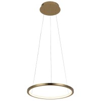 10014S Подвесной светильник LOFT IT Ring