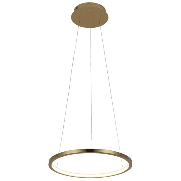 10014S Подвесной светильник LOFT IT Ring