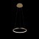 10014S Подвесной светильник LOFT IT Ring 10014S Подвесной светильник LOFT IT Ring