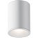 Уличный потолочный светильник Maytoni C029CL-01W Zoom IP65 под лампу 1xGU10 50W