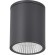 SL9514.712.01 Светильник уличный потолочный ST-Luce серый/белый LED 1*12W 3000K/4000K/6500K TUBO