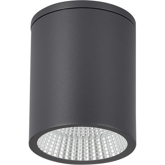 SL9514.712.01 Светильник уличный потолочный ST-Luce серый/белый LED 1*12W 3000K/4000K/6500K TUBO