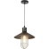 Подвесной светильник  LDP 6013 O.SL