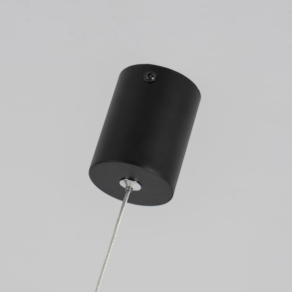 Подвесной светильник Pendenti 2006-1P