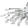 Люстра потолочная Lightstar 791184 Isabelle под лампы 8xG9 320W