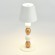 SL1011.514.01 Прикроватная лампа ST-Luce Белый, Золотистый/Белый LED 1*3W 3000-6000K EASE