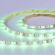 ST019.418.20RGBW Светодиодная лента SMD5050 - 17.28W/M RGB+4000K 300Lm Ra>90 IP20 L5000xW10xH- 24V Светодиодные ленты