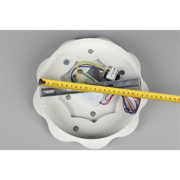 Светильник настенный (Бра) OML-07901-26