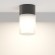 Уличный потолочный светильник Maytoni O418CL-01B Willis IP54 под лампу 1xE27 60W