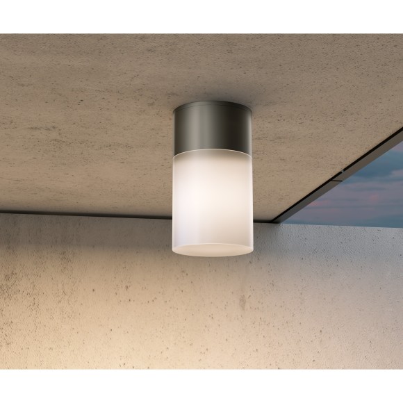 Уличный потолочный светильник Maytoni O418CL-01B Willis IP54 под лампу 1xE27 60W
