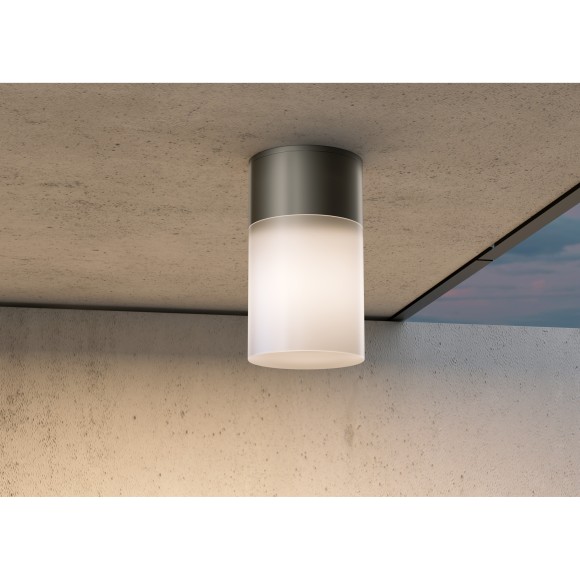 Уличный потолочный светильник Maytoni O418CL-01B Willis IP54 под лампу 1xE27 60W