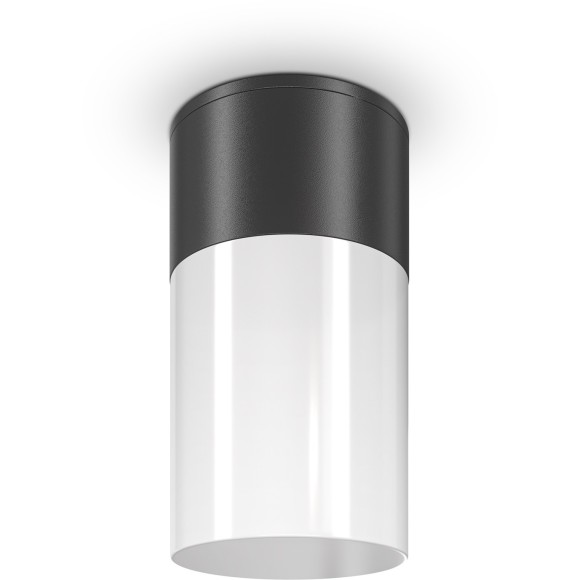 Уличный потолочный светильник Maytoni O418CL-01B Willis IP54 под лампу 1xE27 60W