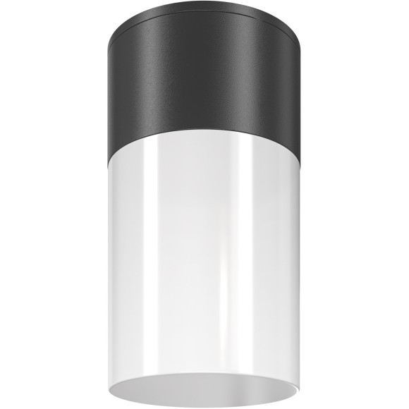 Уличный потолочный светильник Maytoni O418CL-01B Willis IP54 под лампу 1xE27 60W