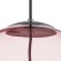 Подвес Colore Lightstar 805302