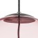 Подвес Colore Lightstar 805302